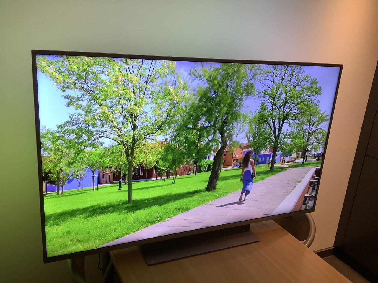 Smart tv Philips 55 inch met kleine verticale streep ( links ) in het beeld