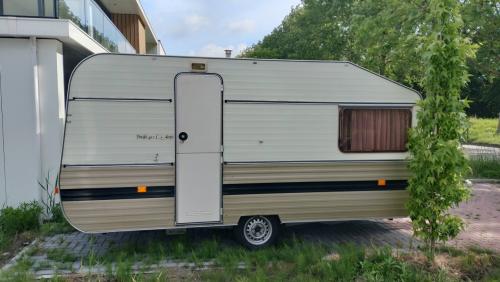 Ever (zeldzaam en zeldzaam goed!) MEGA RETRO maar TOP