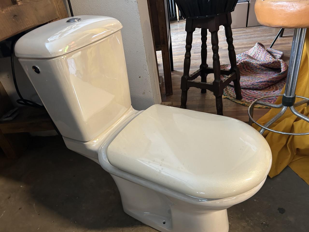 Parelmoer wc Villeroy & Boch