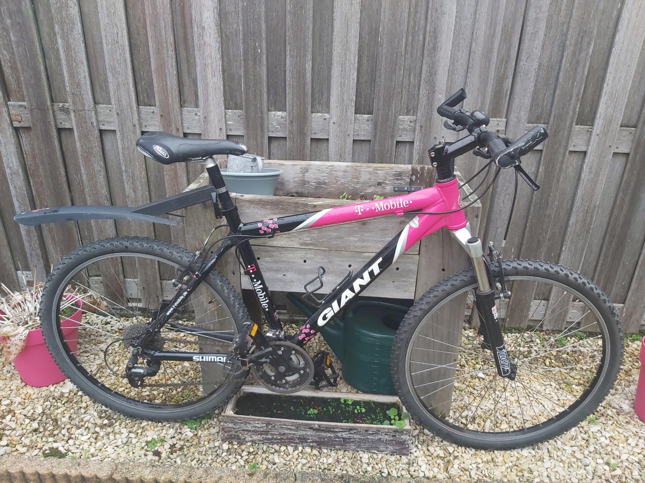 Mountainbikes en fietsendrager voor trekhaak  twee fietsen met verlichting