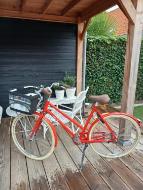 Fiets dames, Union spiksplinternieuw.