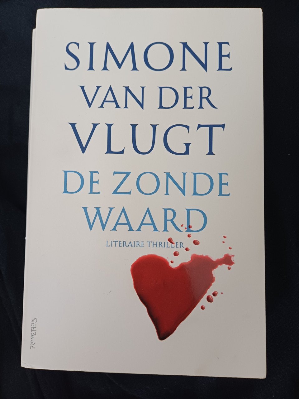 Boek Simone van der Vlugt - De zonde waard