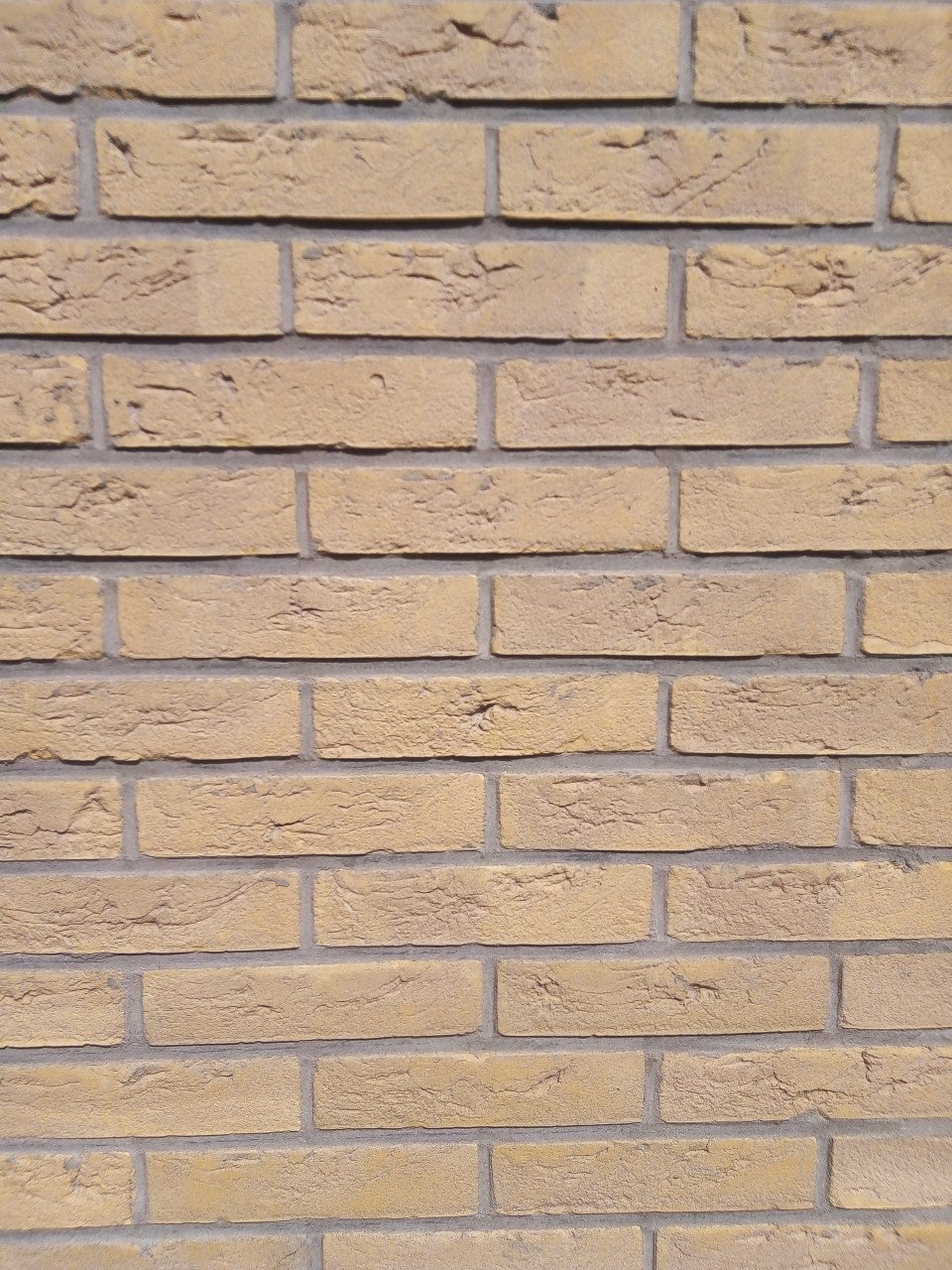 Baksteen/gevelsteen