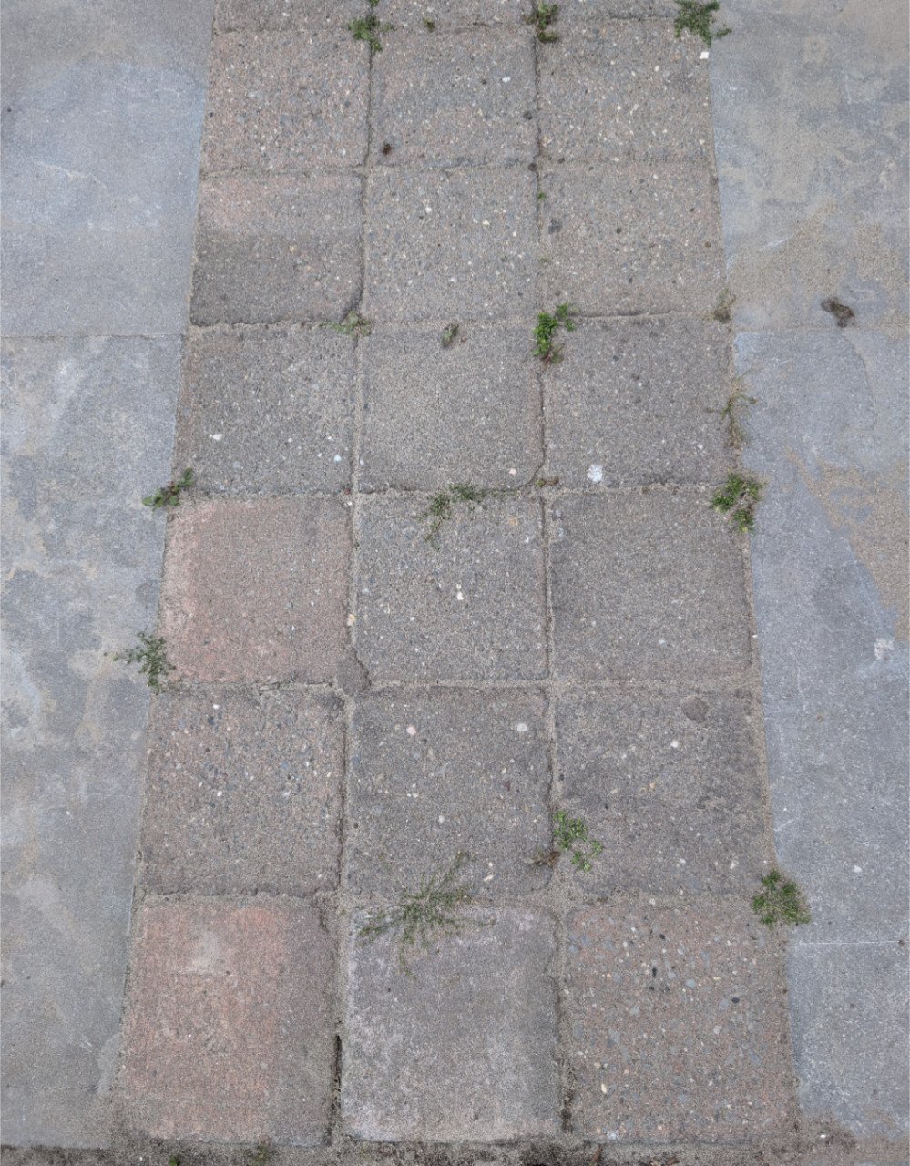 Terrastegels