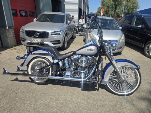 Harley Davidson Heritage Softail Mexican style.