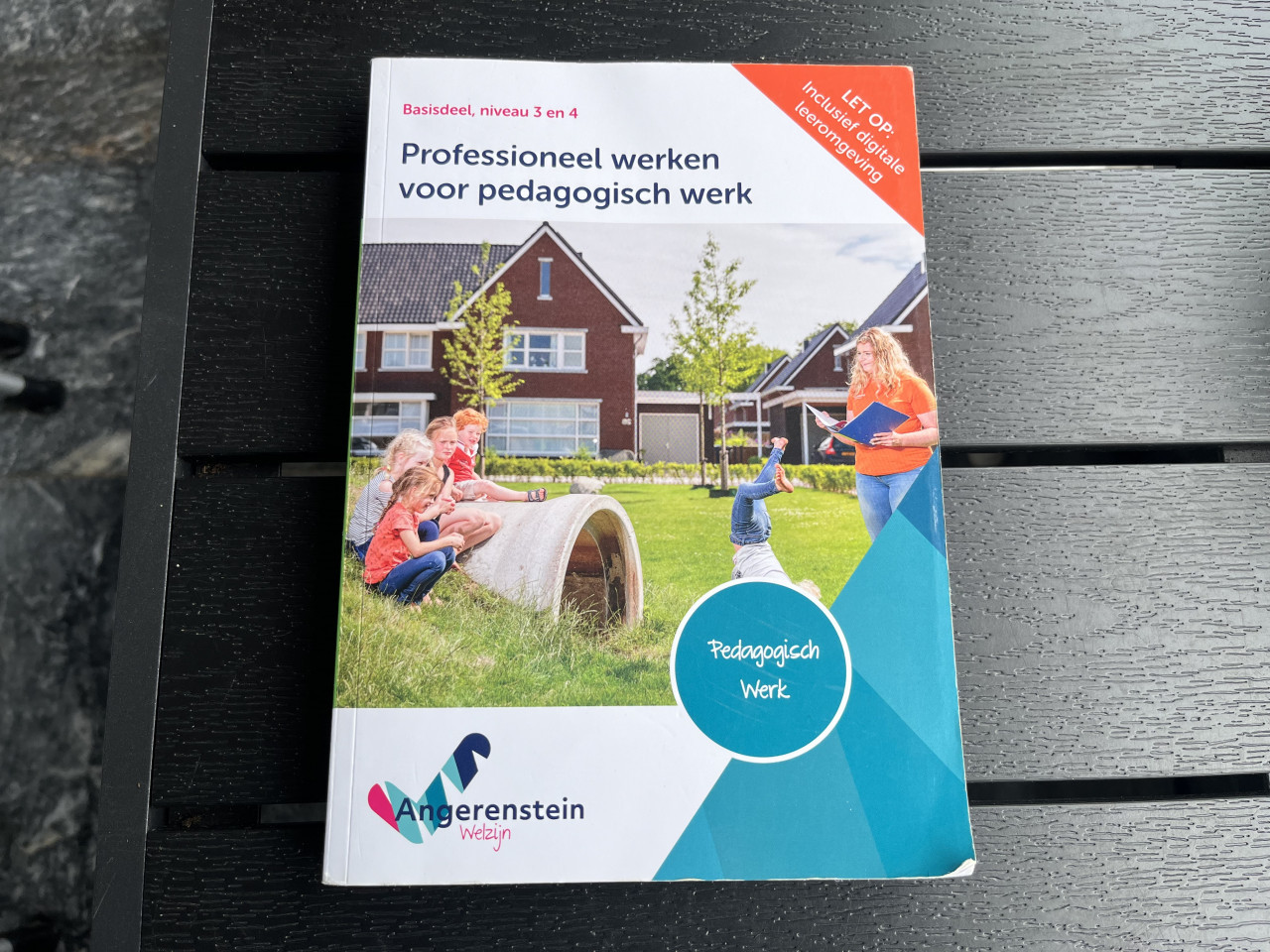 5 Schoolboeken Pedagogisch werk Angerenstein Welzijn