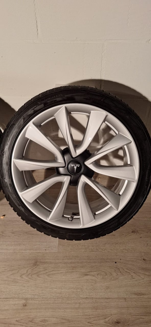 19'' Originele Performance Tesla Model 3 velgen + banden