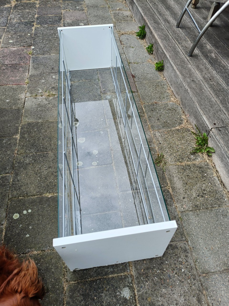 Grote glazen bak