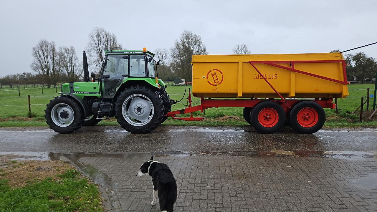 Deutz dx 4.31 SE