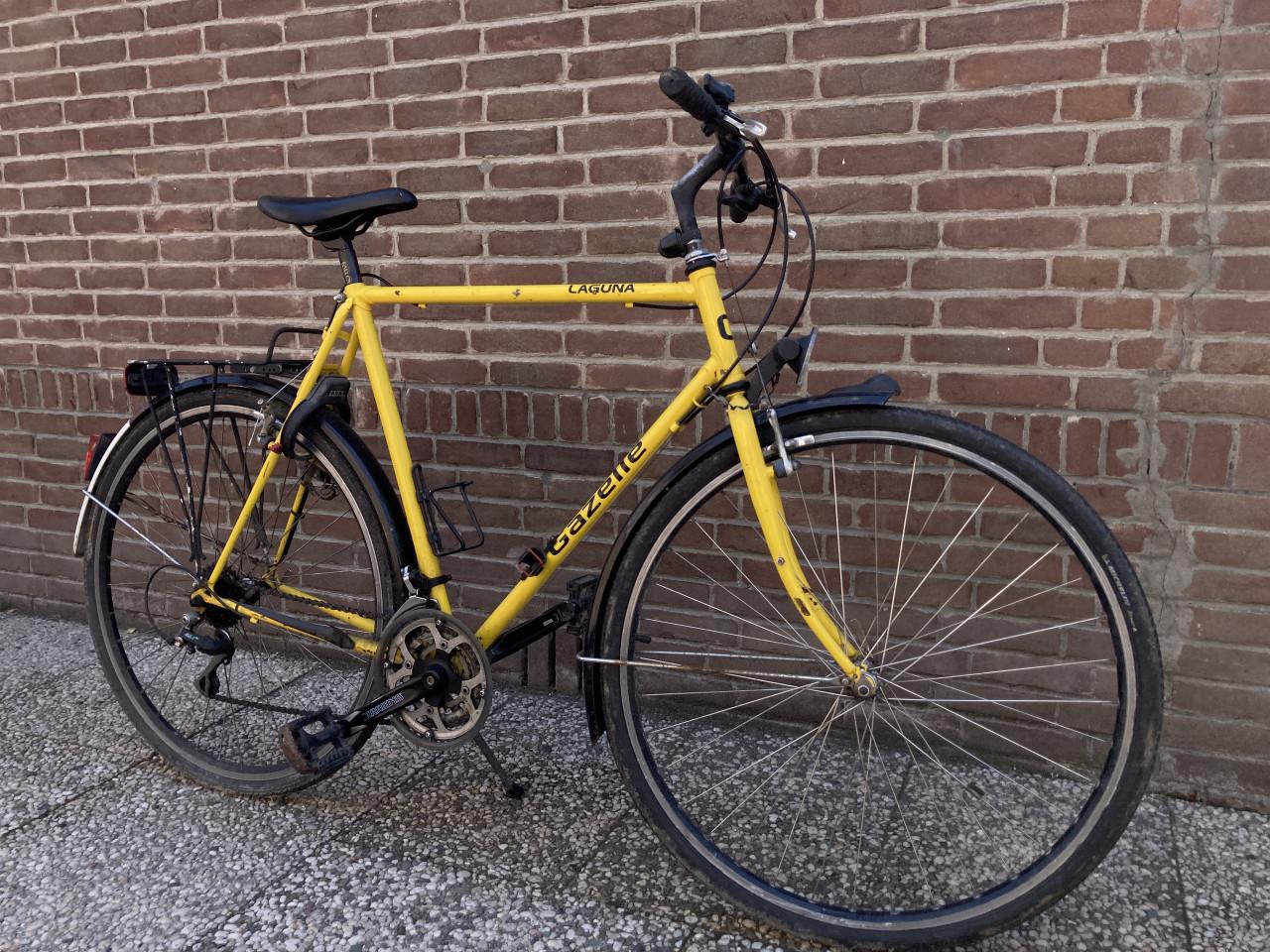 Gazelle Laguna (1996)