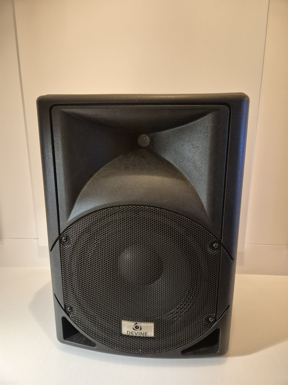 Luidspreker 10 inch