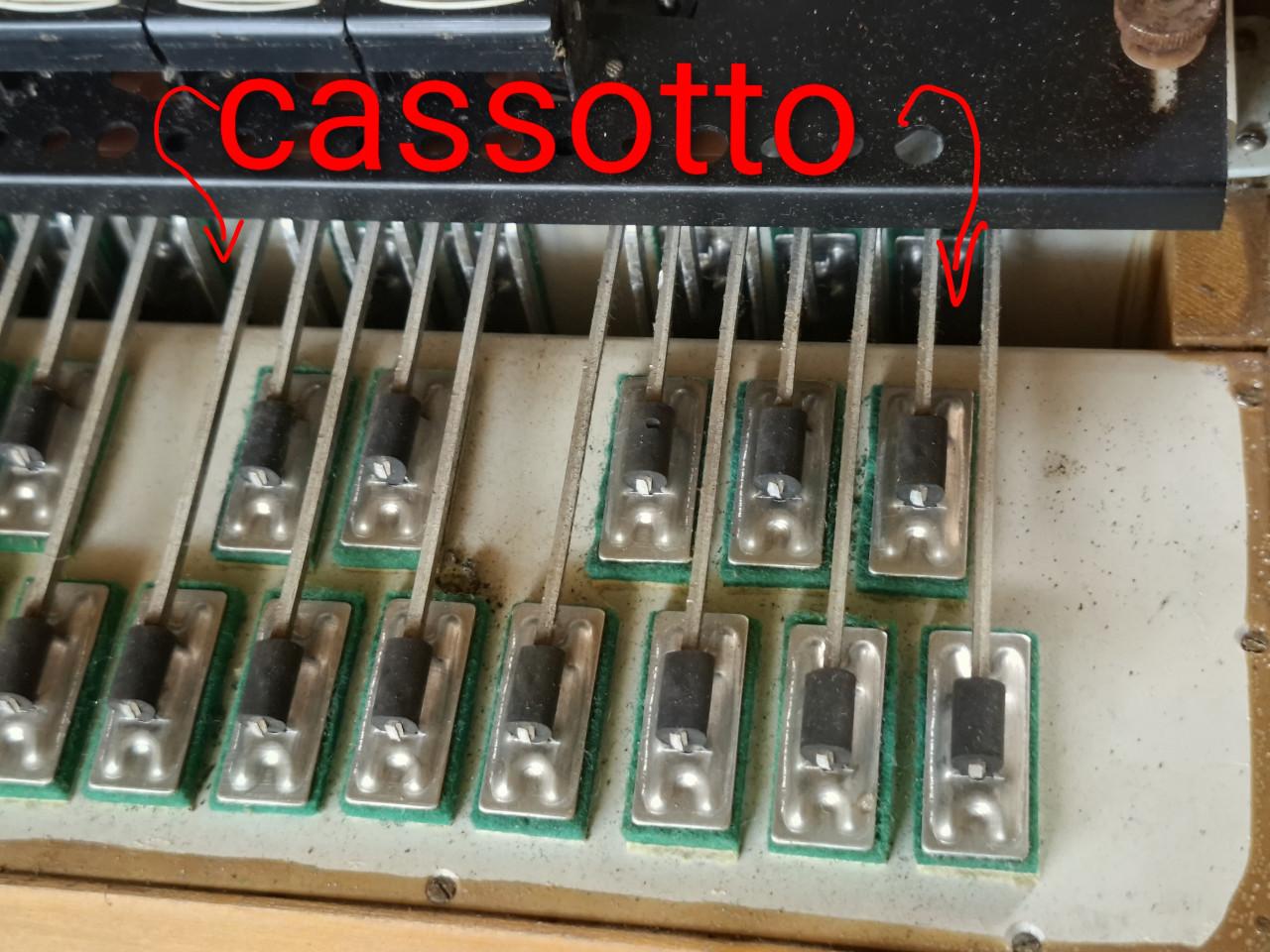 Accordeon ACCORLEONI cassotto