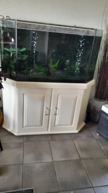 Aquarium