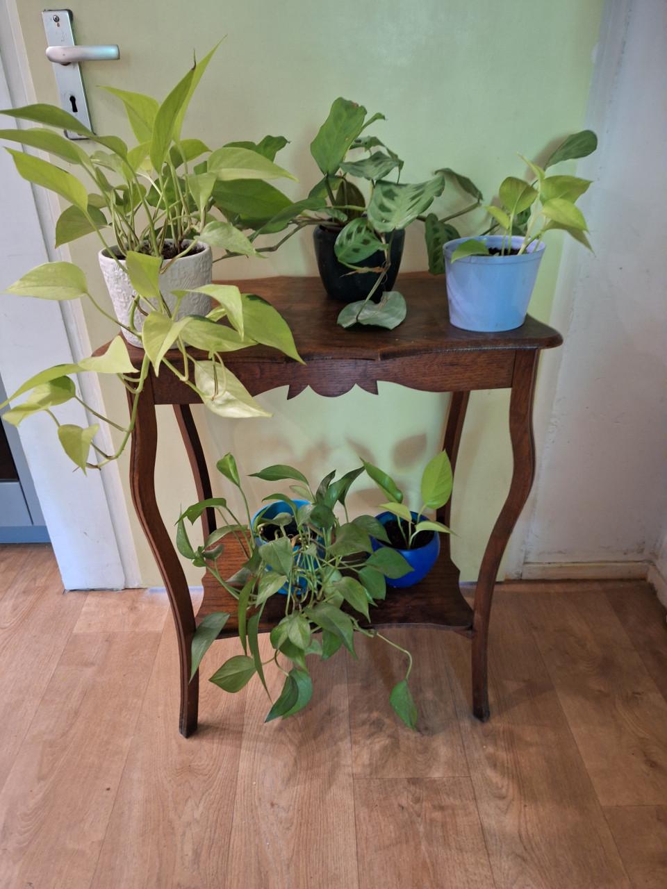 Oud tafeltje