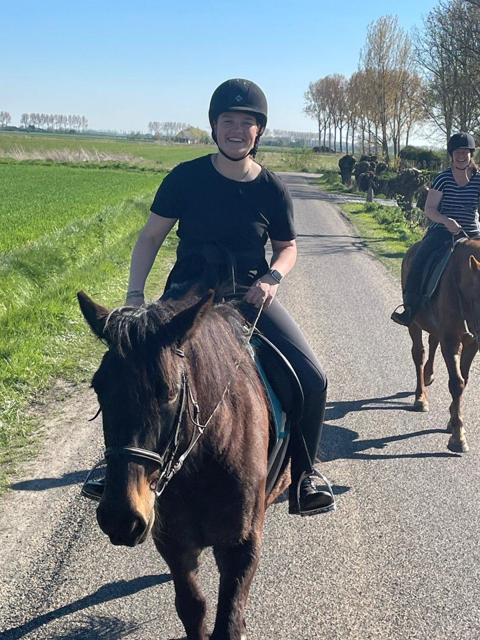 Meerdere fijne recreatiepaarden te koop