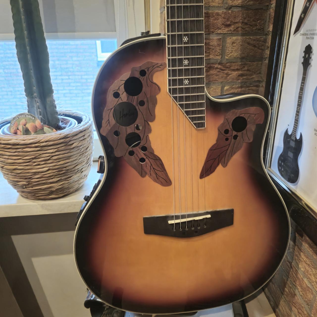 Akoestisch- elektrische gitaar