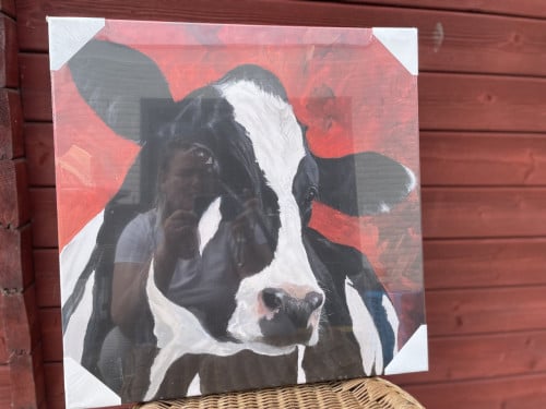 3x NIEUWE Schilderij Koe ❤️🤍💙 in ongeopende verpakking!!!