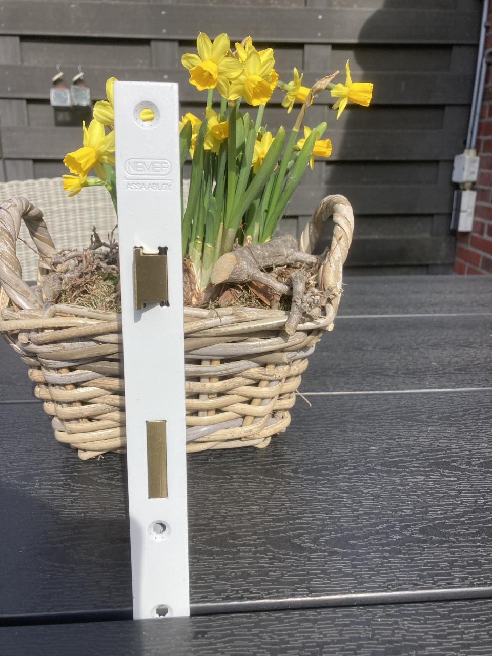 Nemef dag & nachtslot - 569/4 - PC 72 - DM 50 mm - draairichting 1 = DIN Ls