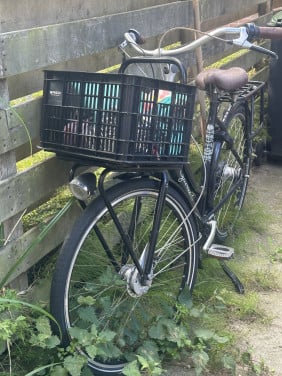 Gazelle miss grace fiets