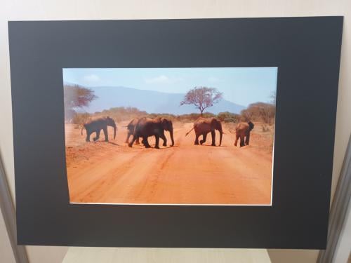 Foto uit Kenia Afrika in passe-partout