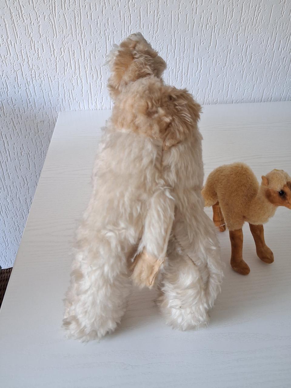 Vintage Mohair en Steiff dromedarissen