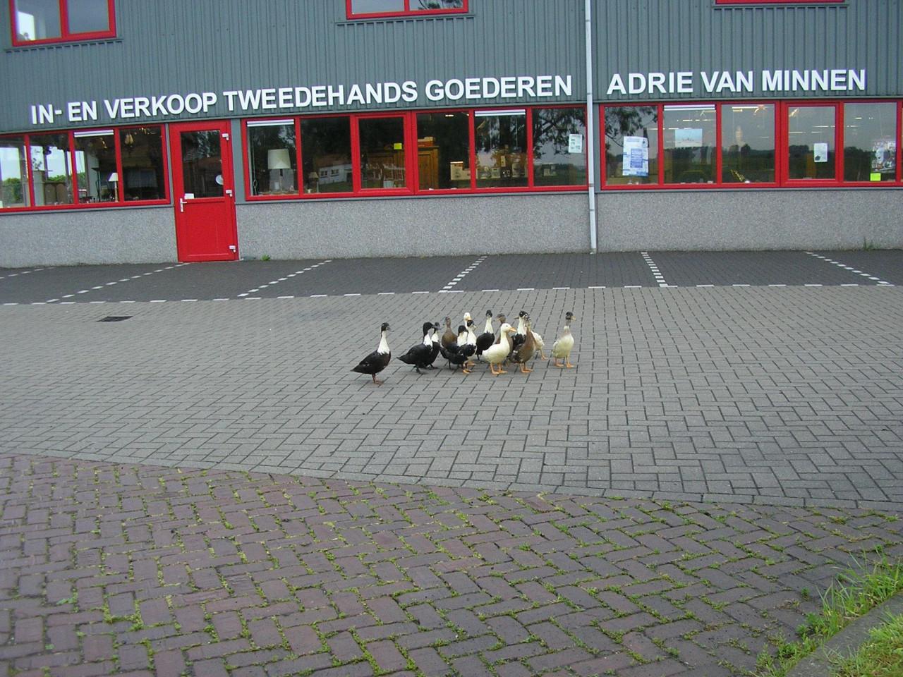 2 delige antiek wandmeubel in goede staat opruimprijs 95 euro