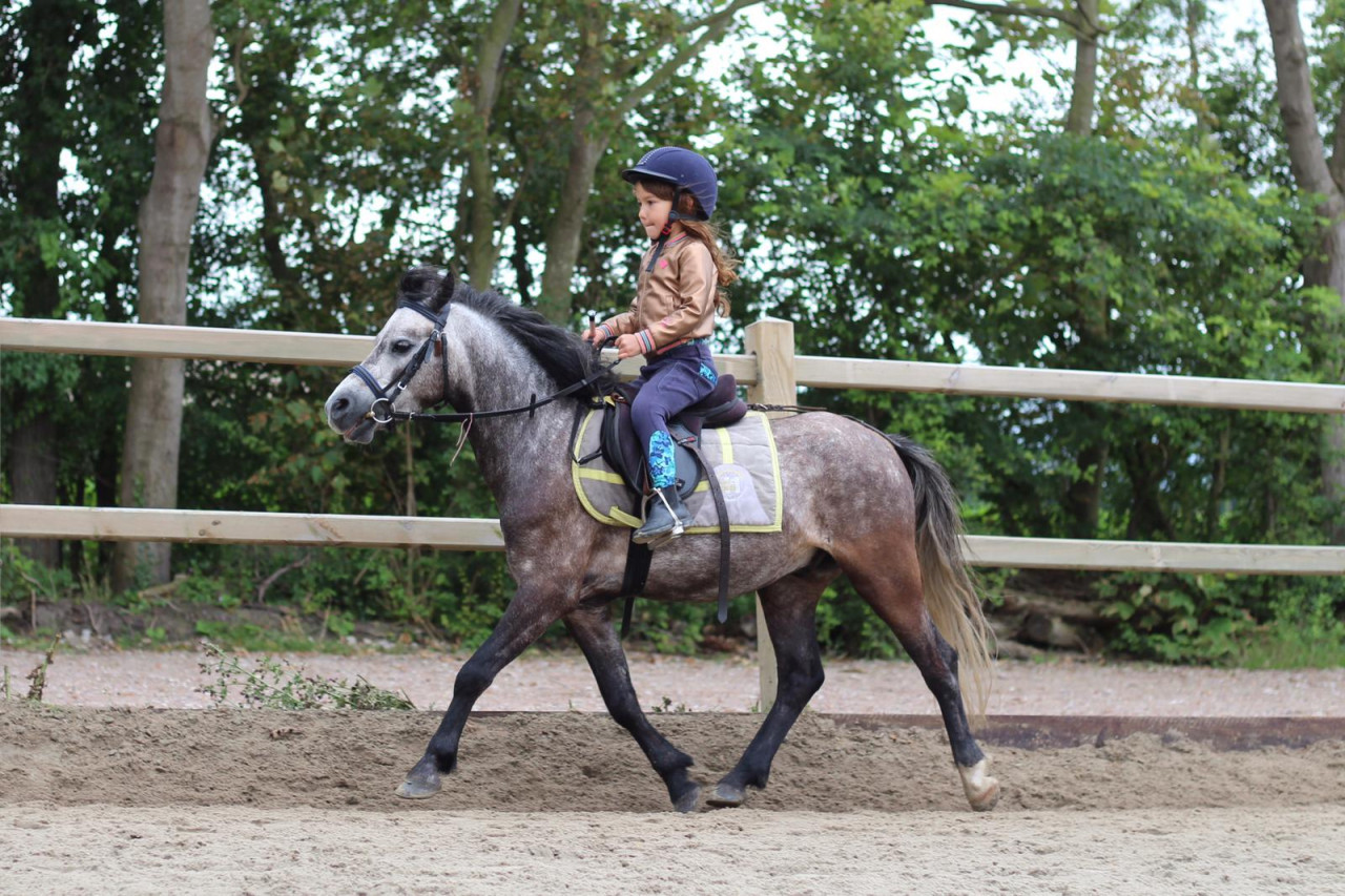 Beleef een onvergetelijk dagkamp op Manege de Meiwerf!