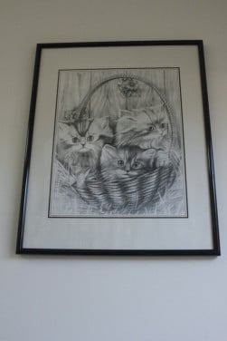 Tekening van poesjes in lijst