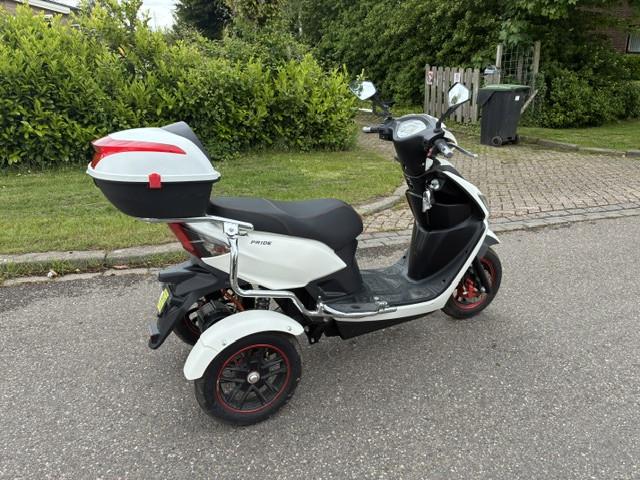 GEEN RIJBEWIJS ? NIET NODIG MET DEZE STOERE NIPPONIA PRIDE !