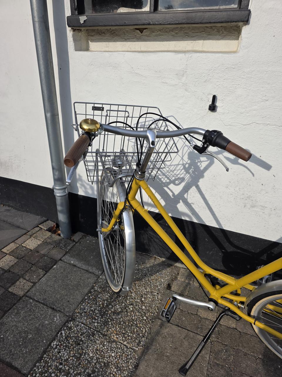 Damesfiets van Roetz