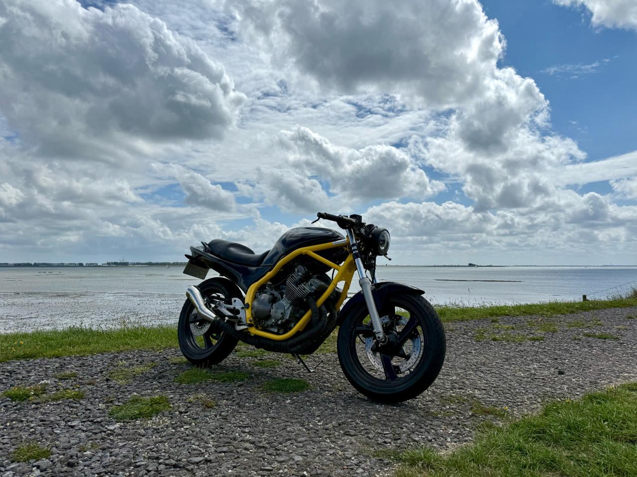 Yamaha XJ600S 4BR Naked
