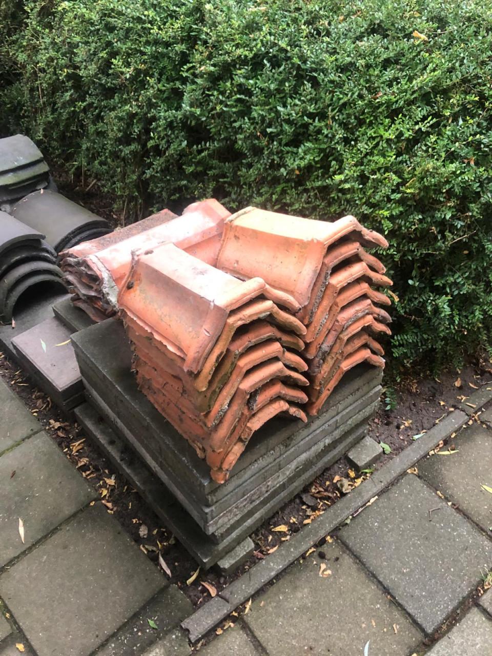 Nokvorsten (diverse types)