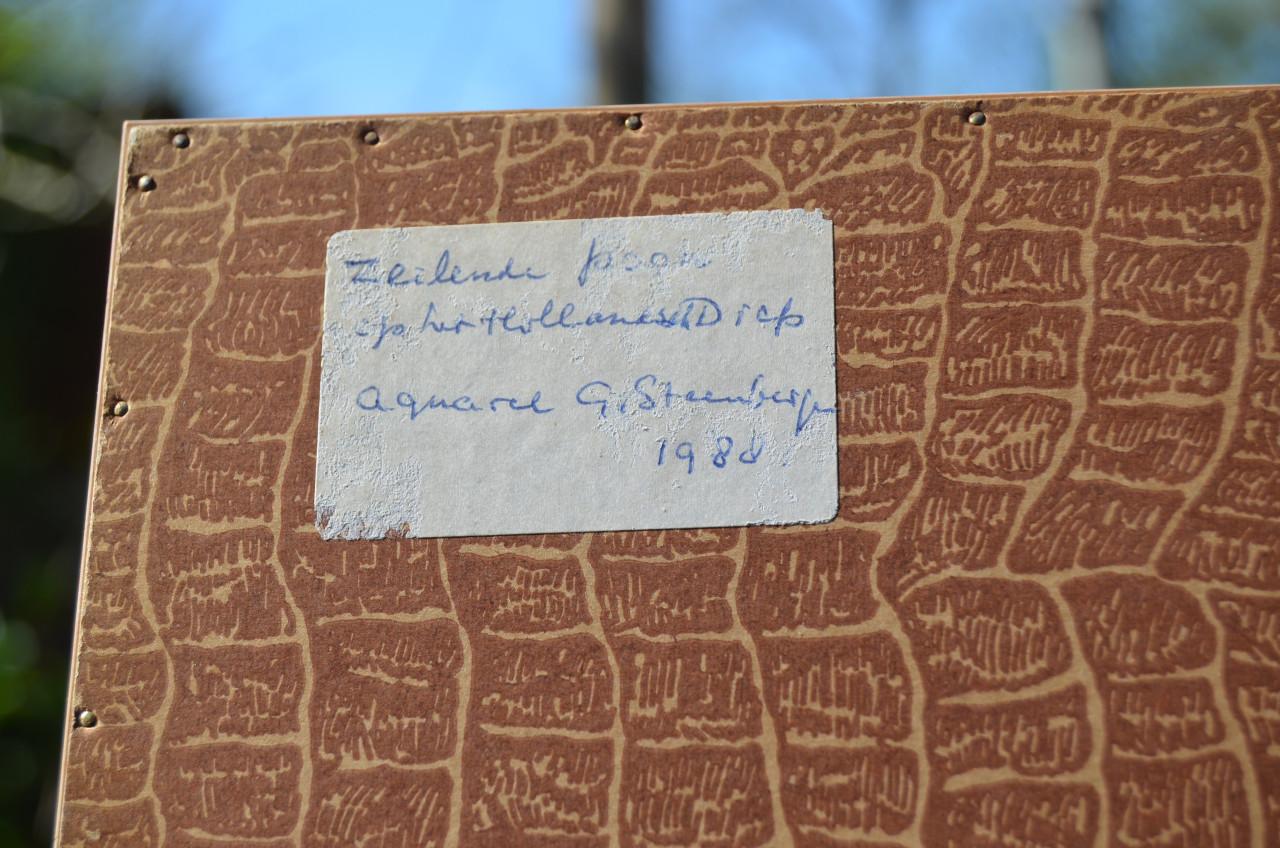 Aquarel G. van Steenbergen 'Poon op het Holl. Diep' 1988 gesigneerd.