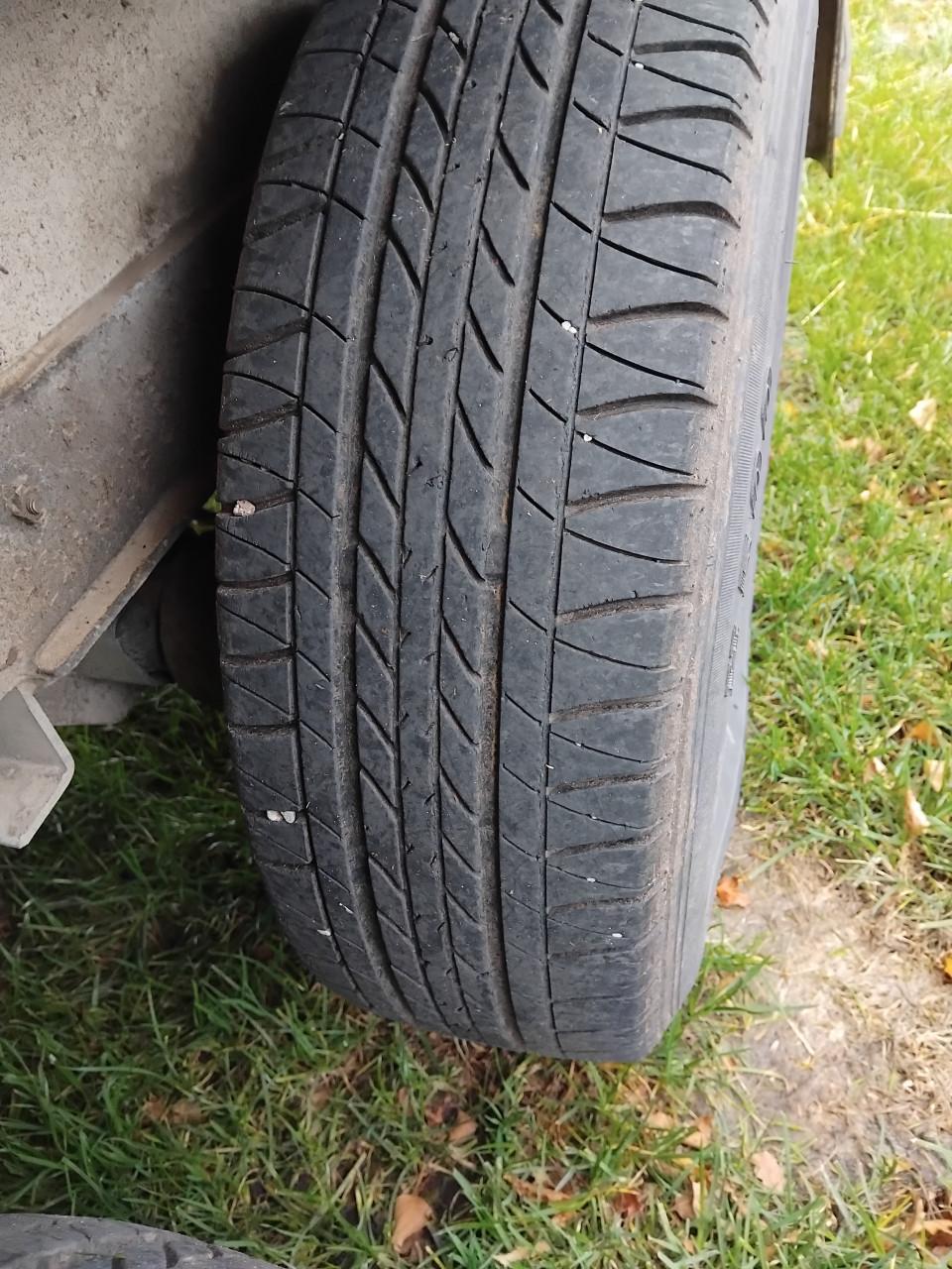 1,5 paardstrailer voor b-rijbewijs