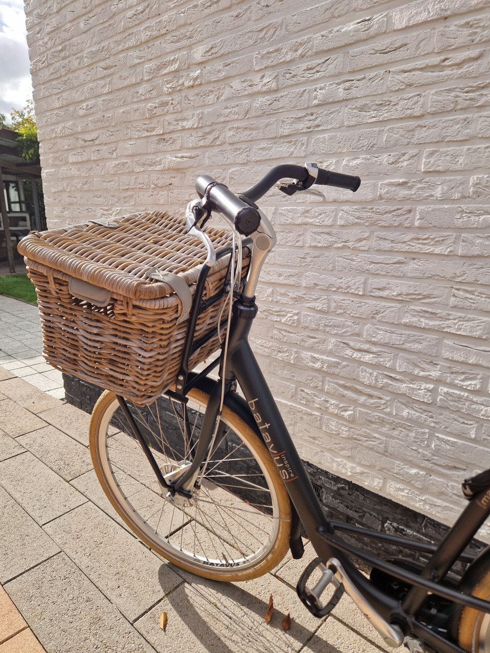 Batavus Mambo Deluxe