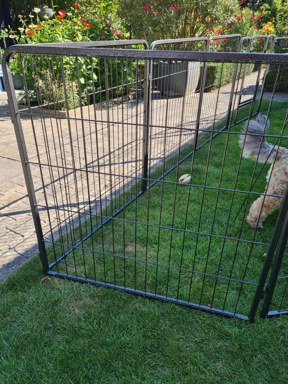 Puppy-/hondenren
