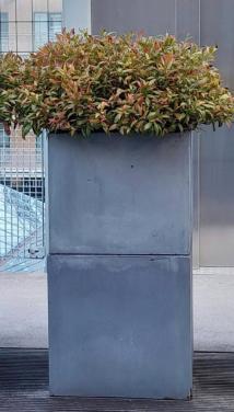 Gratis af te halen Bloembakken