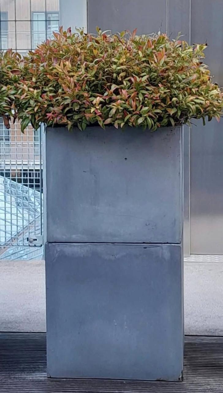 Gratis af te halen Bloembakken
