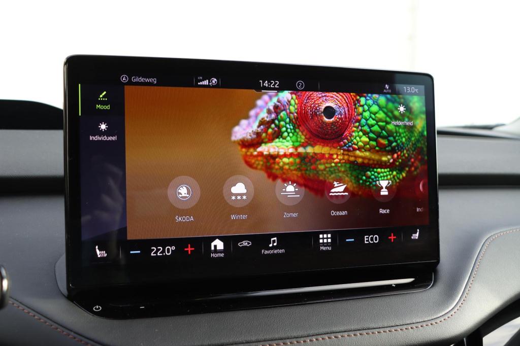 Skoda Enyaq Iv 80 limited edition plus 204pk