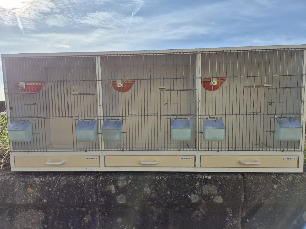 TT kooien en broedkooien