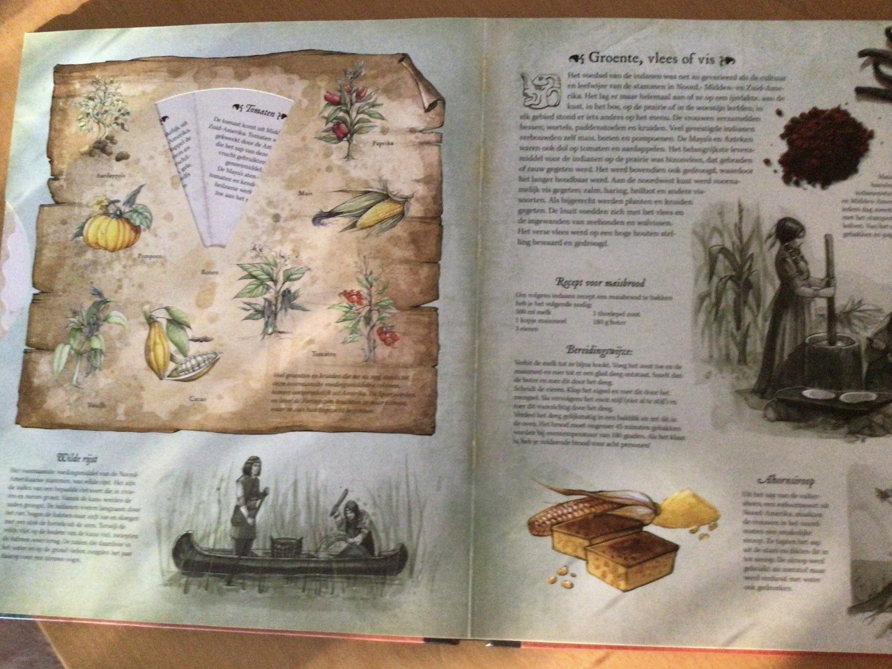 Boek Indianen
