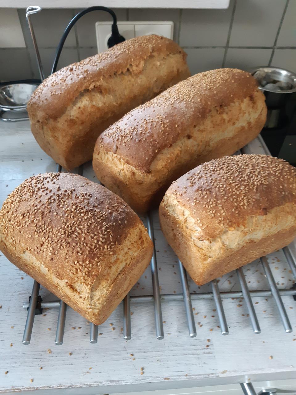 Broodbakken met succes