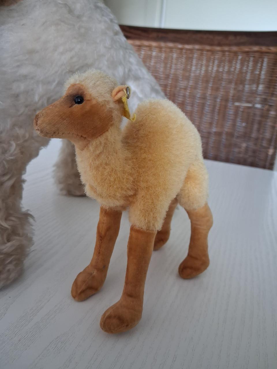 Vintage Mohair en Steiff dromedarissen