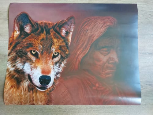 2 prachtige sjamanistische posters
