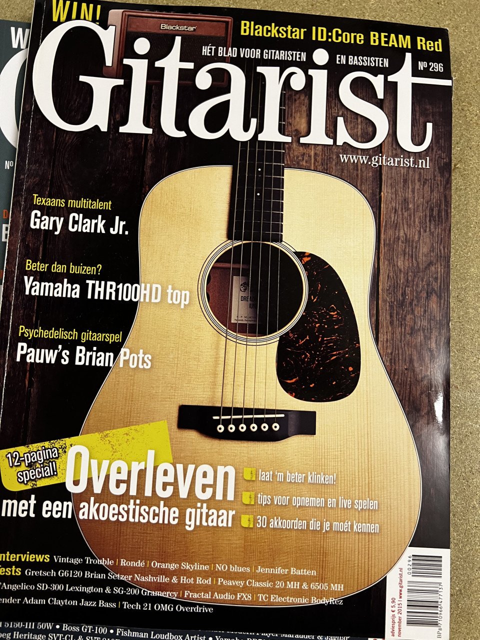 De gitarist