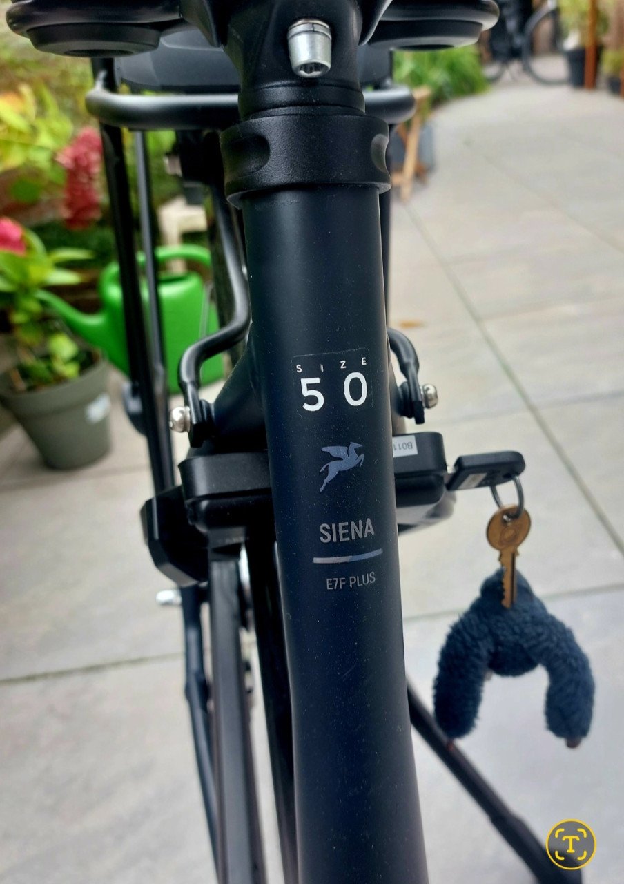 Electrische fiets Pegasus Siena