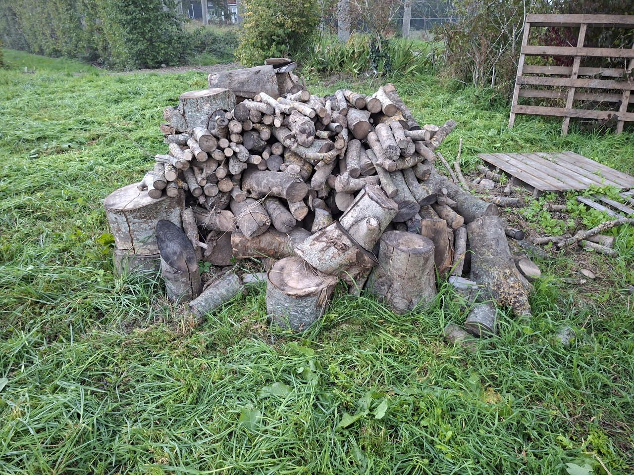 Essenhout ongekliefd te koop