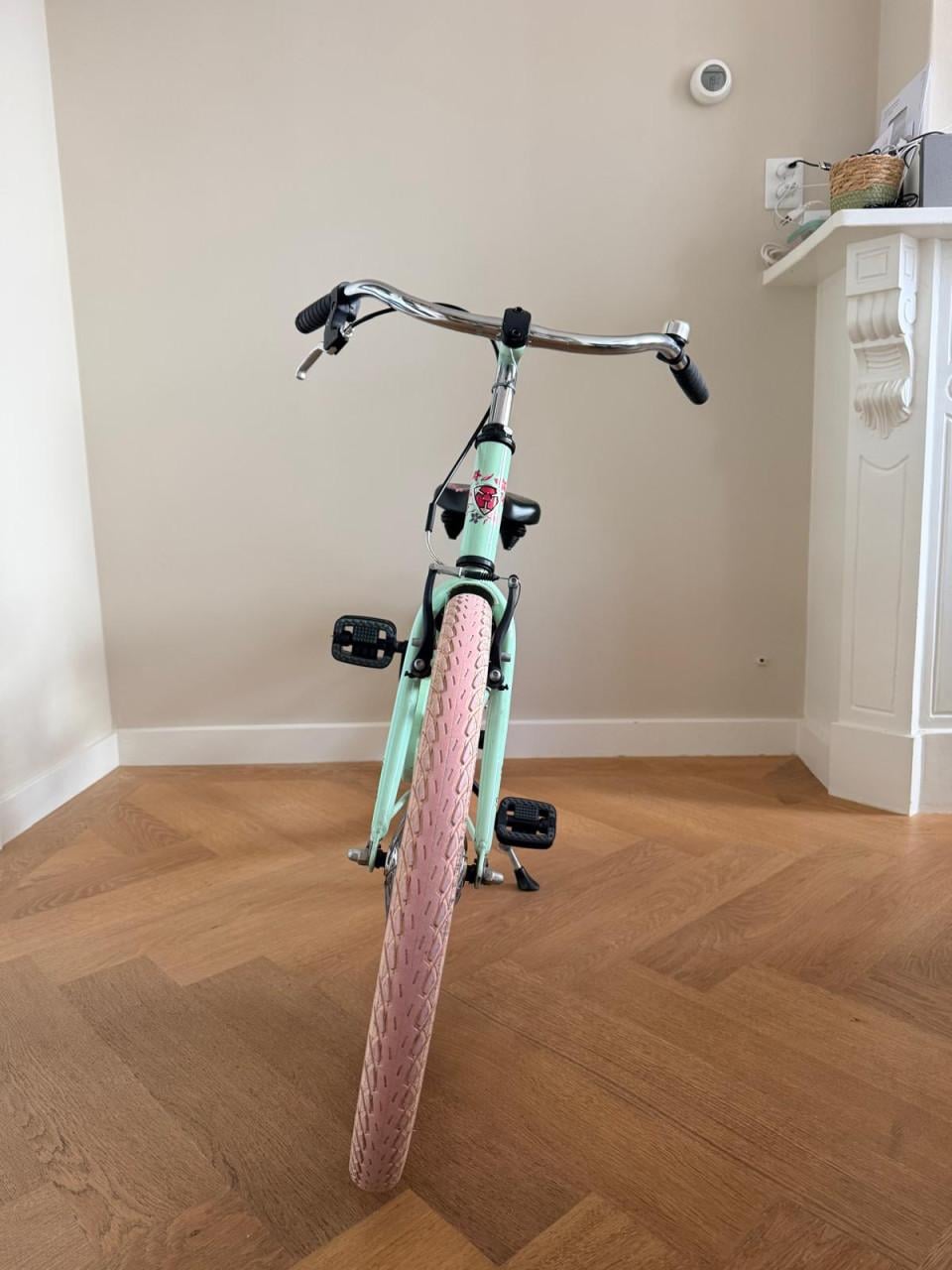 Alpina Ocean 22 inch kinderfiets mintgroen/roze