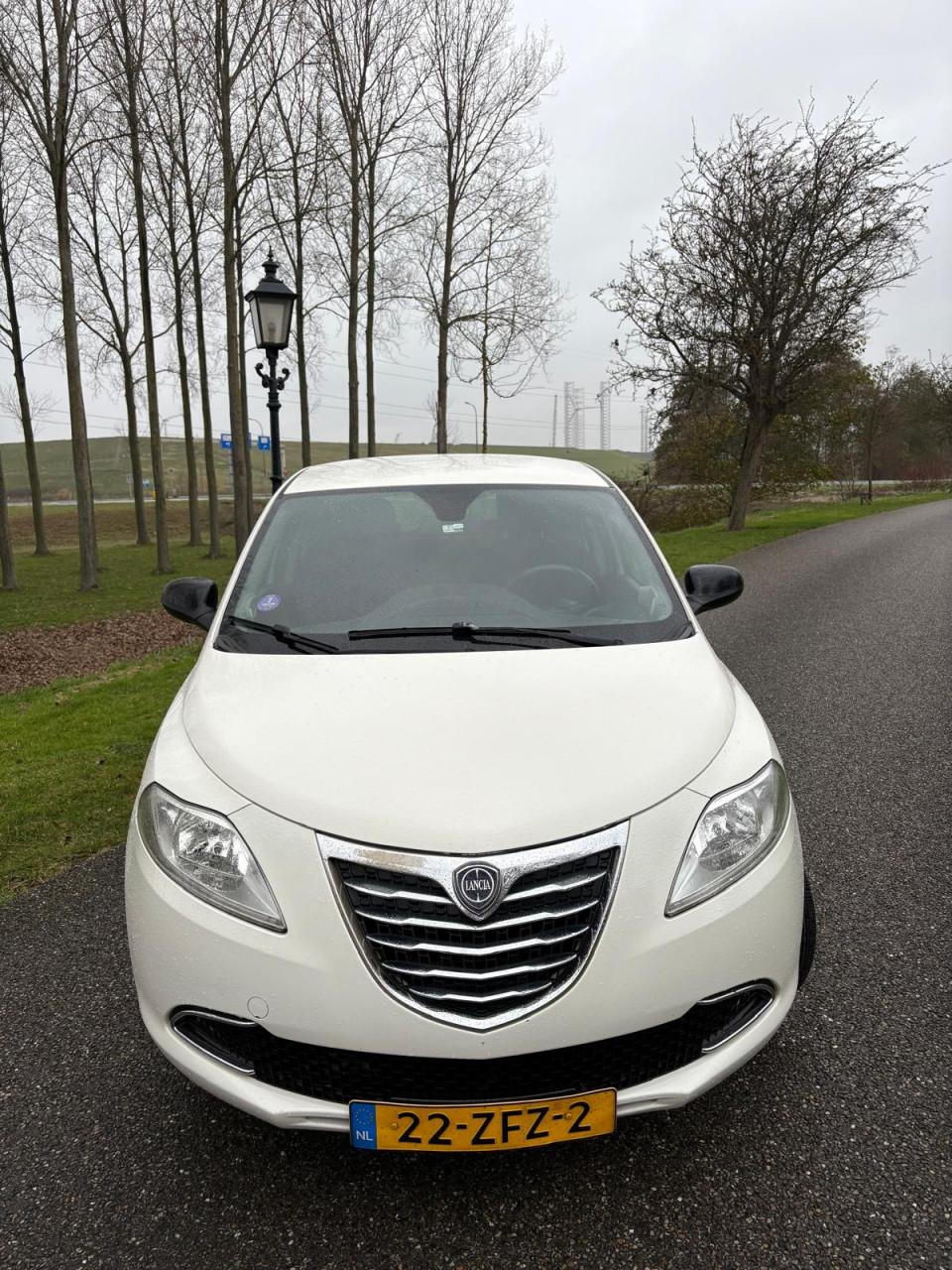 Lancia Ypsilon 0.9 TwinAir GOLD |AUT|CRUISE|A-LABEL