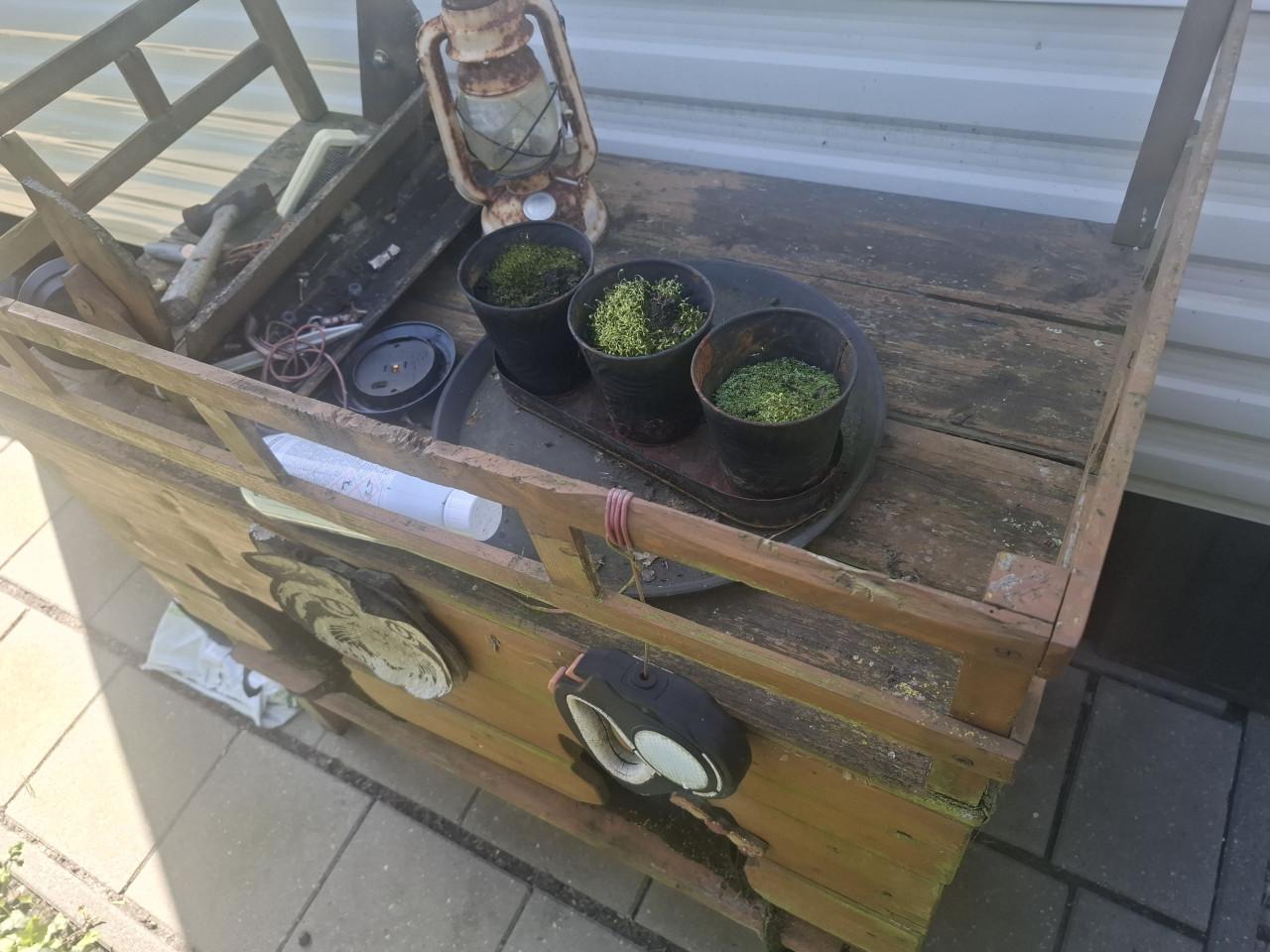 Dierenhok kattenren of ander huisdier plus kattenhuis